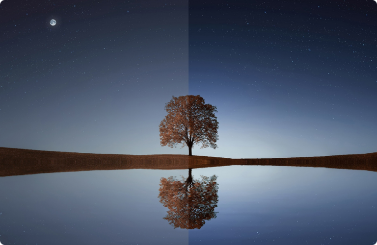 Luminosità, contrasto e colori straordinari